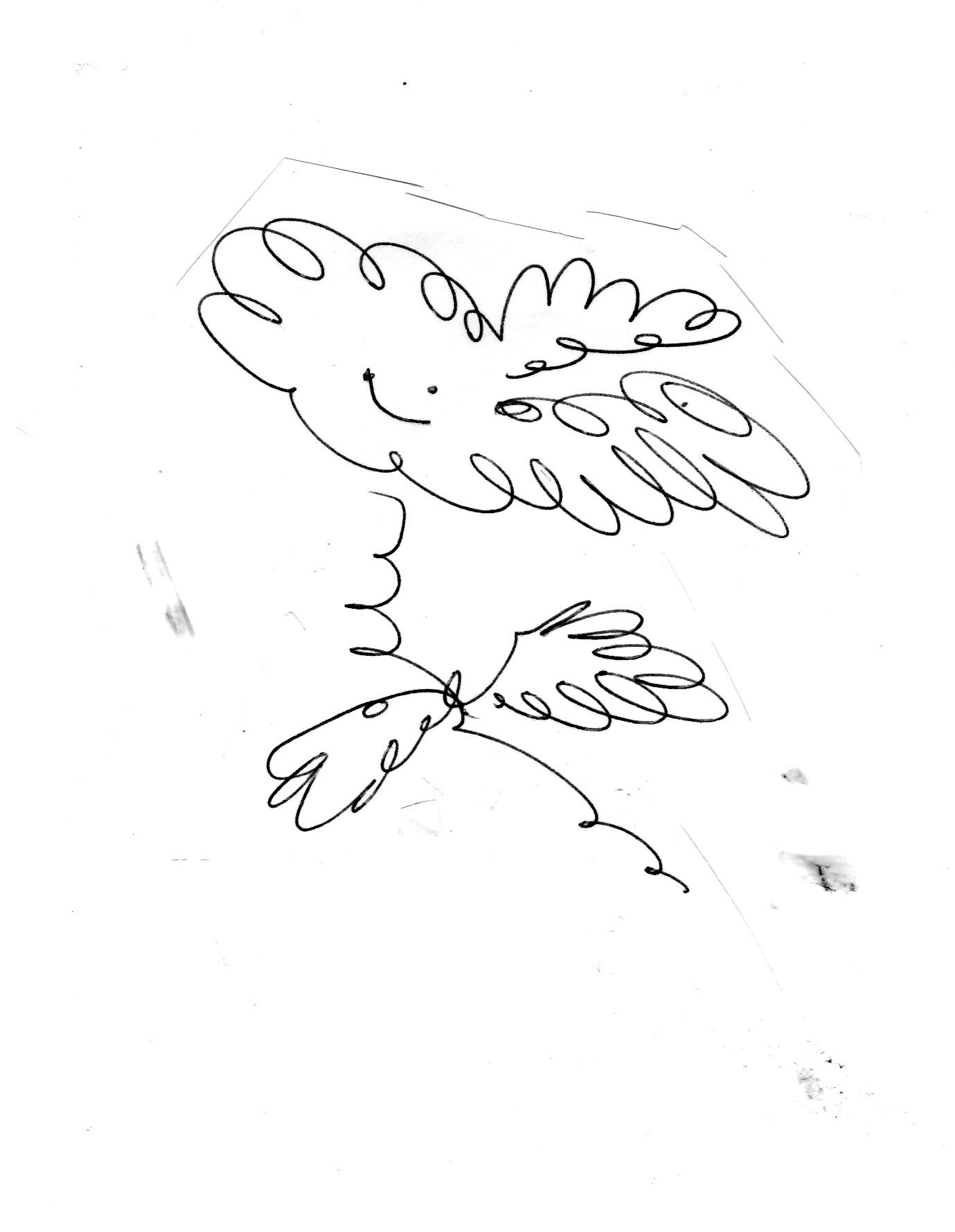 One Shape of the Language